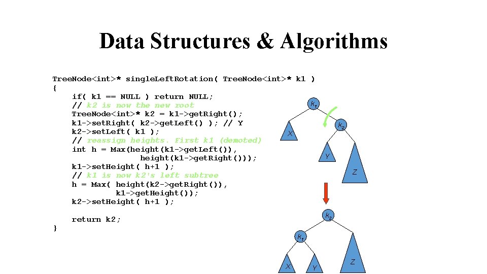 Data Structures & Algorithms Tree. Node<int>* single. Left. Rotation( Tree. Node<int>* k 1 )