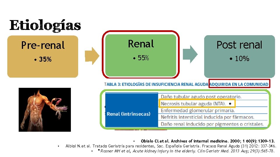 Pre-renal Renal Post renal • 35% • 55% • 10% o intrínseca se genera