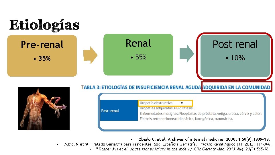 Pre-renal Renal Post renal • 35% • 55% • 10% Generada por obstrucción afectando