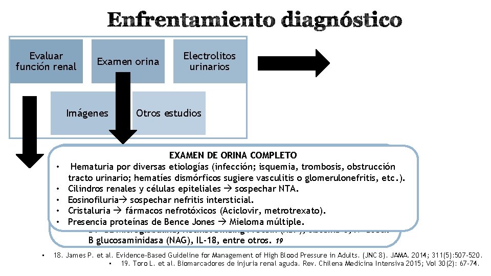 Evaluar función renal Examen orina Imágenes Electrolitos urinarios Otros estudios EXÁMENES PARA EVALUAREXAMEN FUNCIÓN