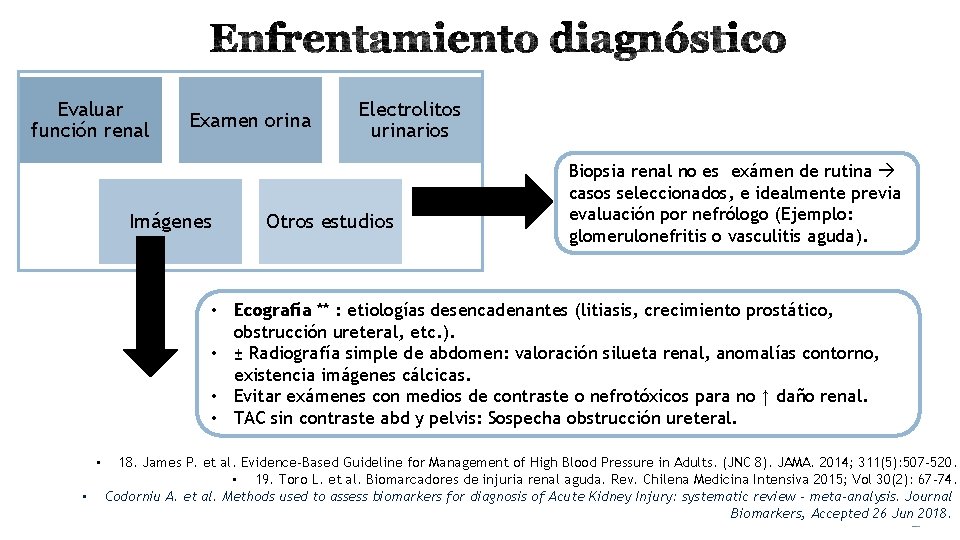 Evaluar función renal Examen orina Imágenes Electrolitos urinarios Otros estudios Biopsia renal no es