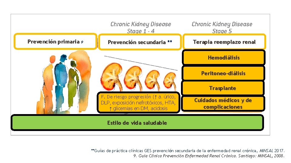Prevención primaria 9 Prevención secundaria ** Terapia reemplazo renal Hemodiálisis Peritoneo-diálisis Trasplante F. De