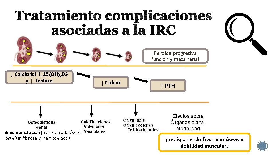 Pérdida progresiva función y masa renal ↓ Calcitriol 1, 25(OH)2 D 3 y ↑