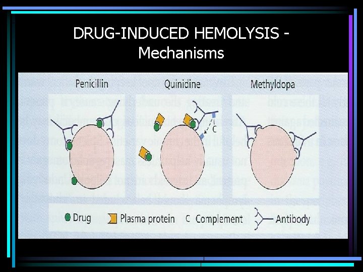 DRUG-INDUCED HEMOLYSIS Mechanisms 