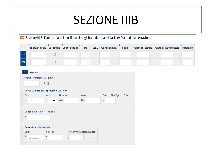 SEZIONE IIIB 