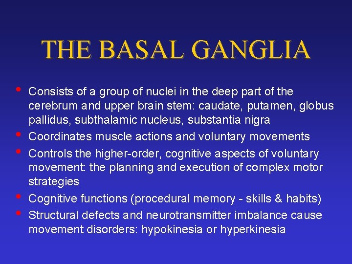 THE BASAL GANGLIA • • • Consists of a group of nuclei in the