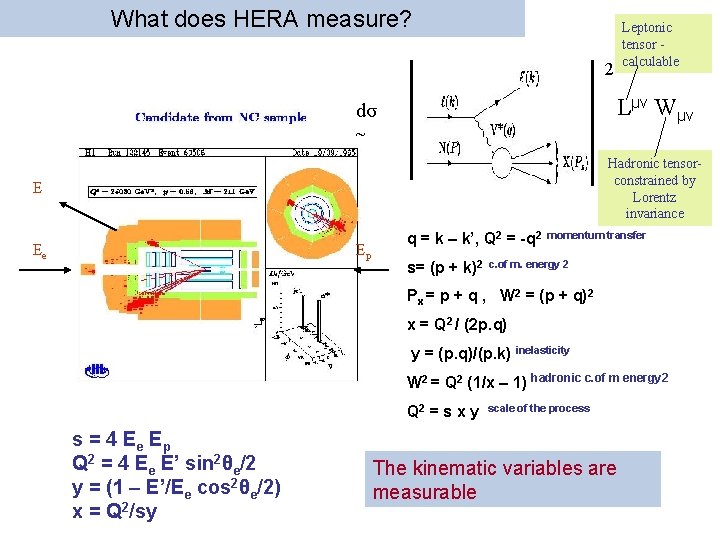 What does HERA measure? Leptonic tensor calculable 2 Lμν Wμν dσ ~ Hadronic tensorconstrained