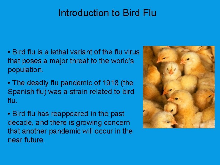 Introduction to Bird Flu • Bird flu is a lethal variant of the flu