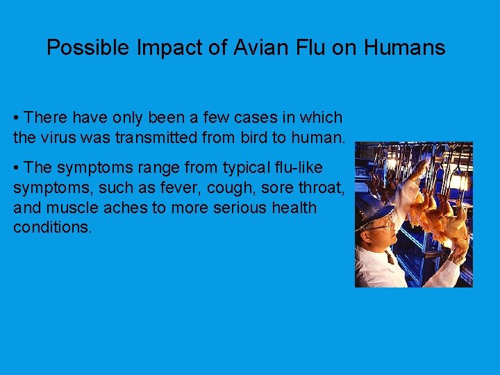 Possible Impact of Avian Flu on Humans • There have only been a few