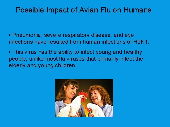 Possible Impact of Avian Flu on Humans • Pneumonia, severe respiratory disease, and eye