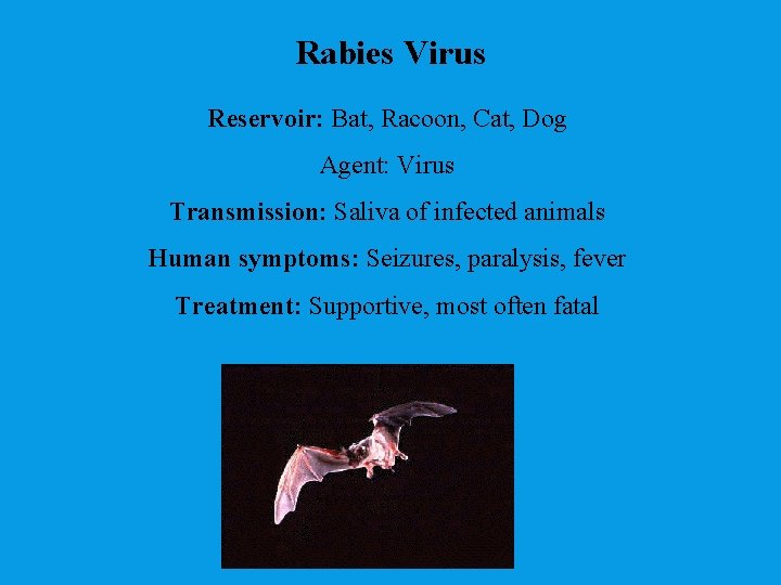 Rabies Virus Reservoir: Bat, Racoon, Cat, Dog Agent: Virus Transmission: Saliva of infected animals