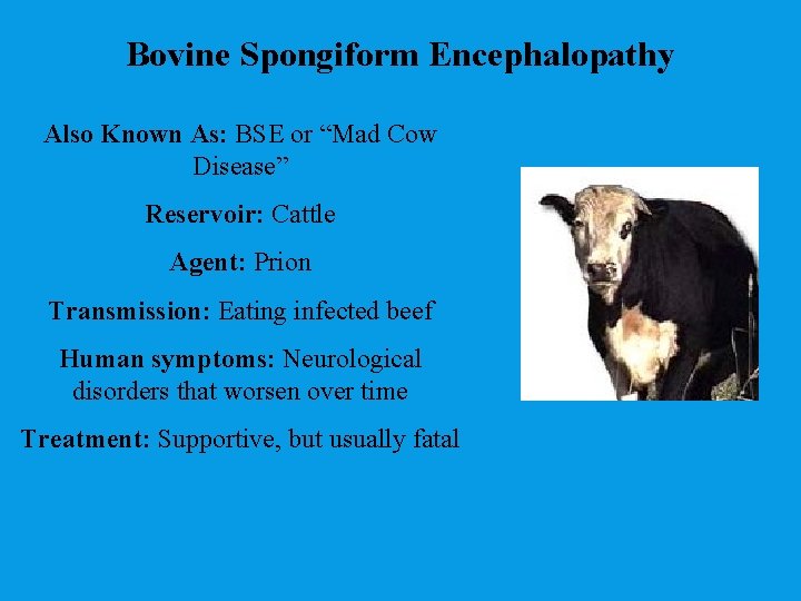 Bovine Spongiform Encephalopathy Also Known As: BSE or “Mad Cow Disease” Reservoir: Cattle Agent:
