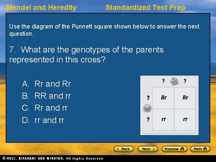 Mendel and Heredity Standardized Test Prep Use the diagram of the Punnett square shown