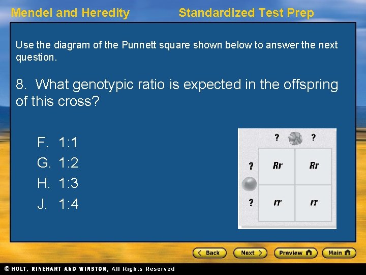 Mendel and Heredity Standardized Test Prep Use the diagram of the Punnett square shown