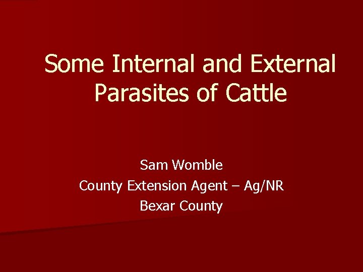 Some Internal and External Parasites of Cattle Sam Womble County Extension Agent – Ag/NR