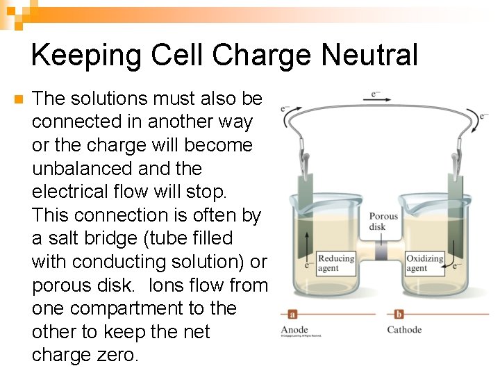 Keeping Cell Charge Neutral n The solutions must also be connected in another way
