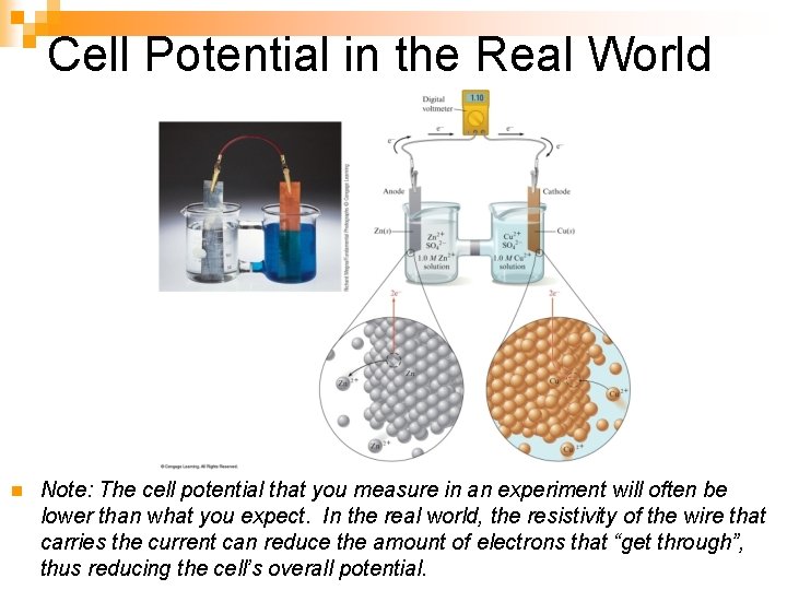 Cell Potential in the Real World n Note: The cell potential that you measure