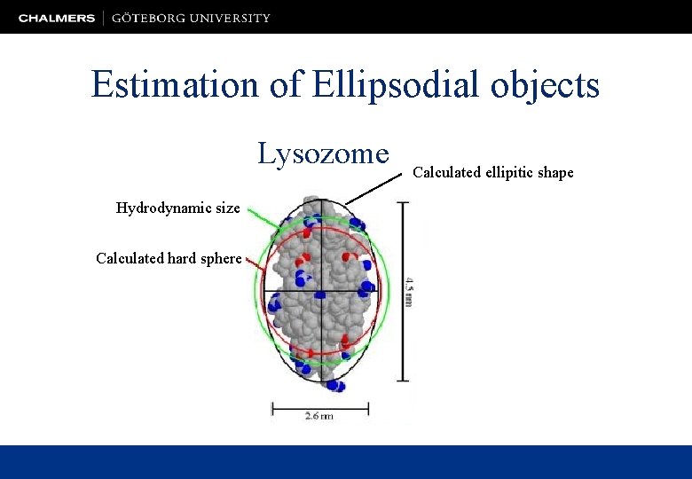 Estimation of Ellipsodial objects Lysozome Hydrodynamic size Calculated hard sphere Calculated ellipitic shape 