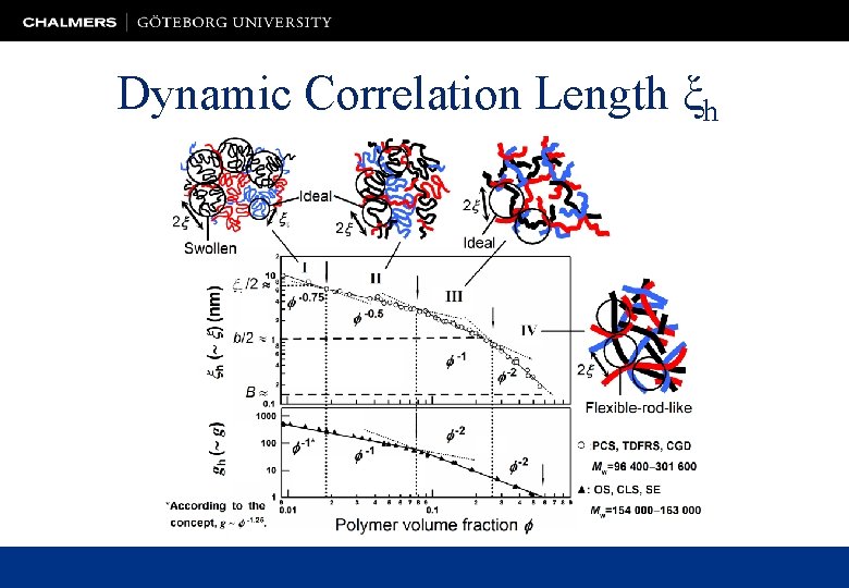 Dynamic Correlation Length ξh 