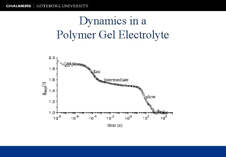 Dynamics in a Polymer Gel Electrolyte 