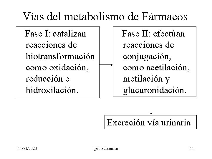 Vías del metabolismo de Fármacos Fase I: catalizan reacciones de biotransformación como oxidación, reducción