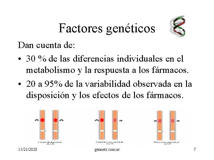 Factores genéticos Dan cuenta de: • 30 % de las diferencias individuales en el