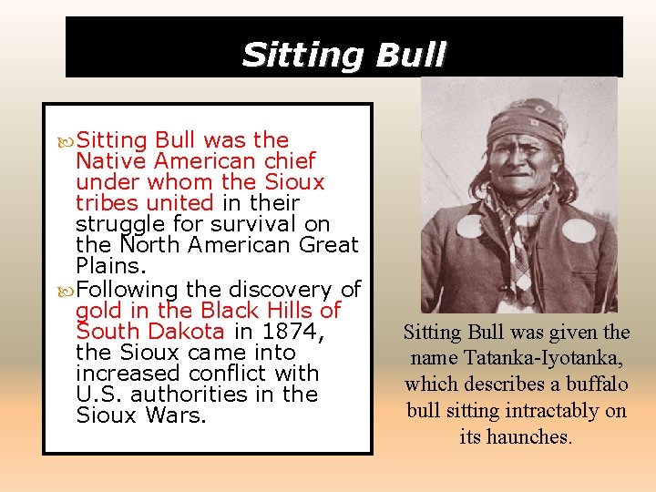 Sitting Bull was the Native American chief under whom the Sioux tribes united in