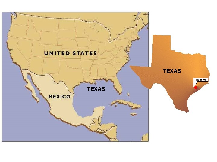 TEXAS TEXAS