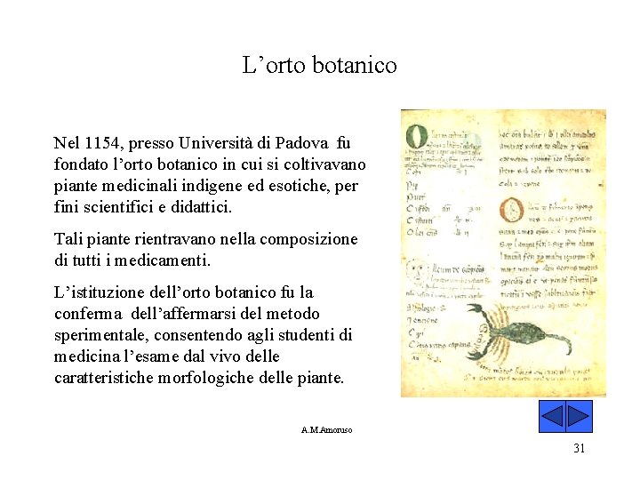 L’orto botanico Nel 1154, presso Università di Padova fu fondato l’orto botanico in cui