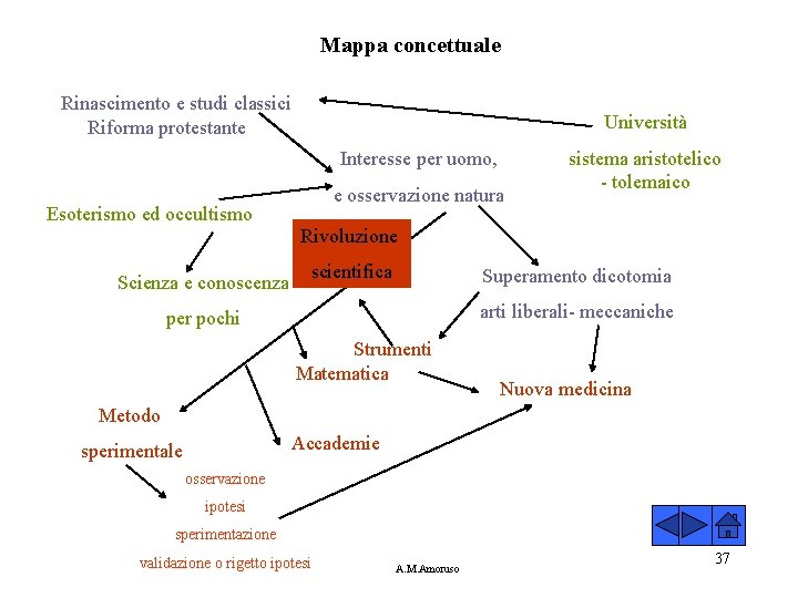 Mappa concettuale Rinascimento e studi classici Riforma protestante Università Interesse per uomo, e osservazione