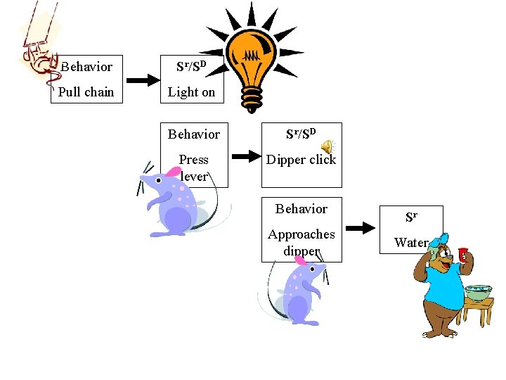 Behavior Sr/SD Pull chain Light on Behavior Sr/SD Press lever Dipper click Behavior Approaches