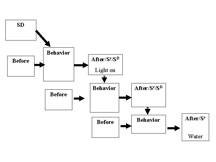 SD Behavior After/Sr/SD Before Light on Before Behavior After/Sr/SD Before Behavior After/Sr Water 