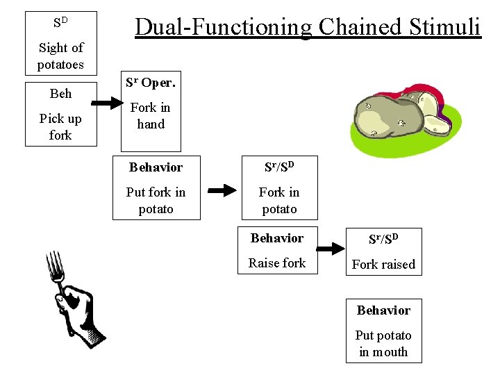 SD Sight of potatoes Beh Pick up fork Dual-Functioning Chained Stimuli Sr Oper. Fork