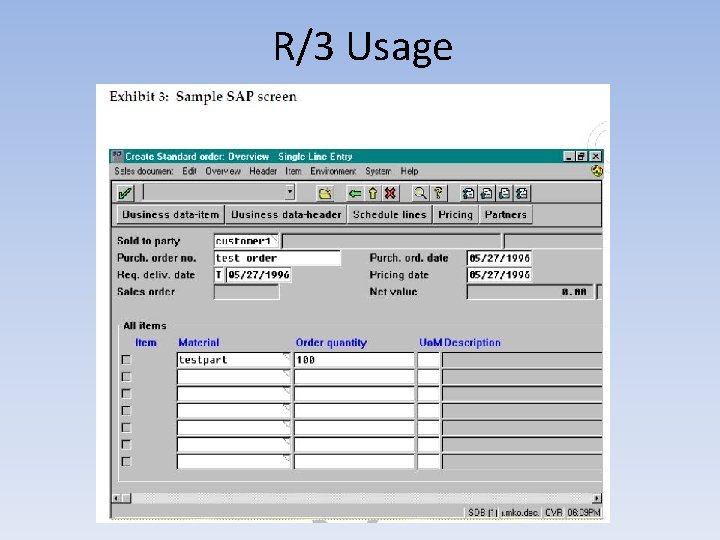 R/3 Usage 