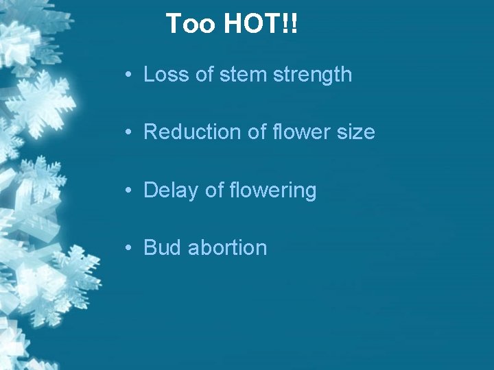 Too HOT!! • Loss of stem strength • Reduction of flower size • Delay