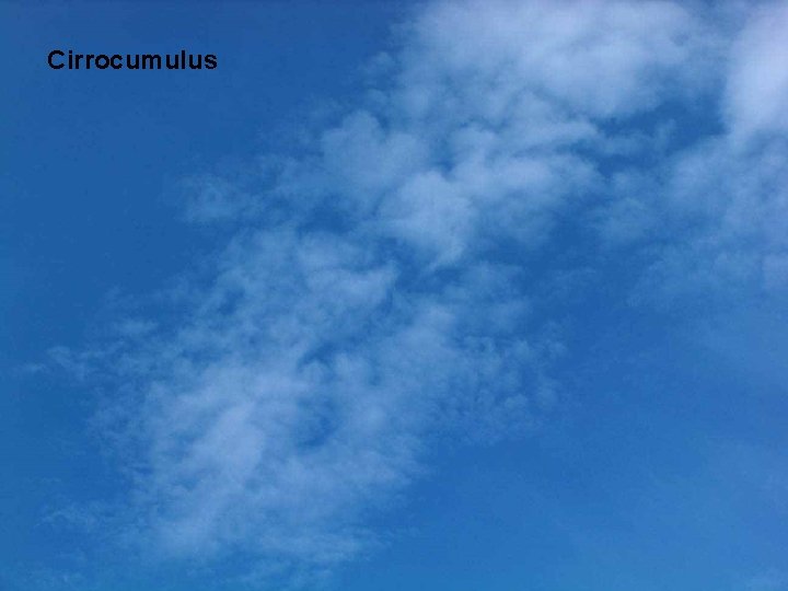 Cirrocumulus 