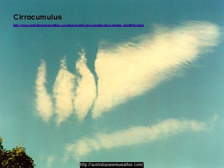 Cirrocumulus http: //www. australiasevereweather. com/photography/cirrocumulus_cloud 0004. html Cirrocumulus http: //www. australiasevereweather. com/photography/cirrocumulus_cloud 0004. html
