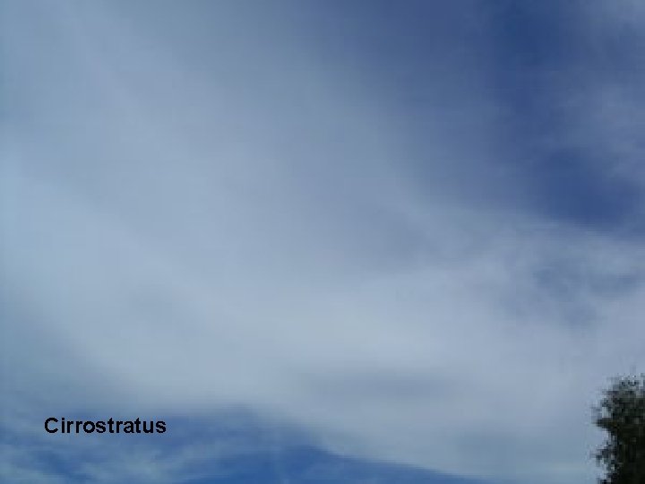 Cirrostratus 