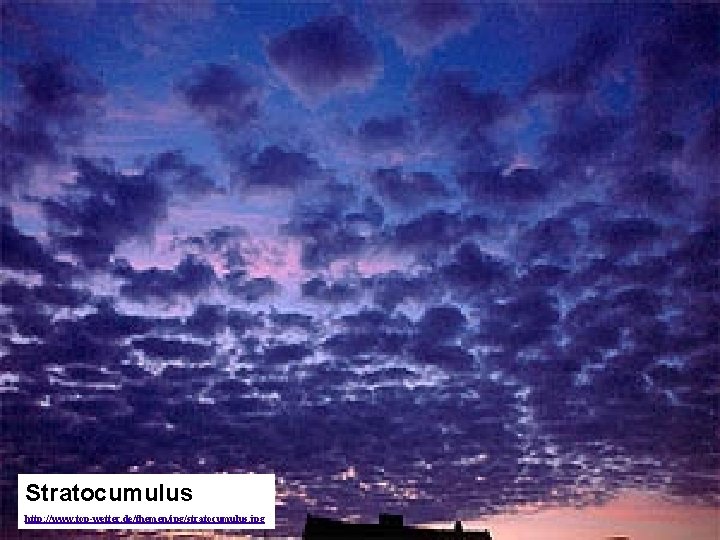 Stratocumulus http: //www. top-wetter. de/themen/jpg/stratocumulus. jpg Stratocumulus http: //www. top-wetter. de/themen/jpg/stratocumulus. jpg