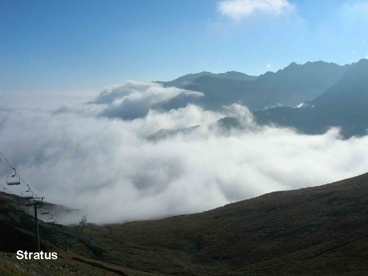 Stratus Stratus
