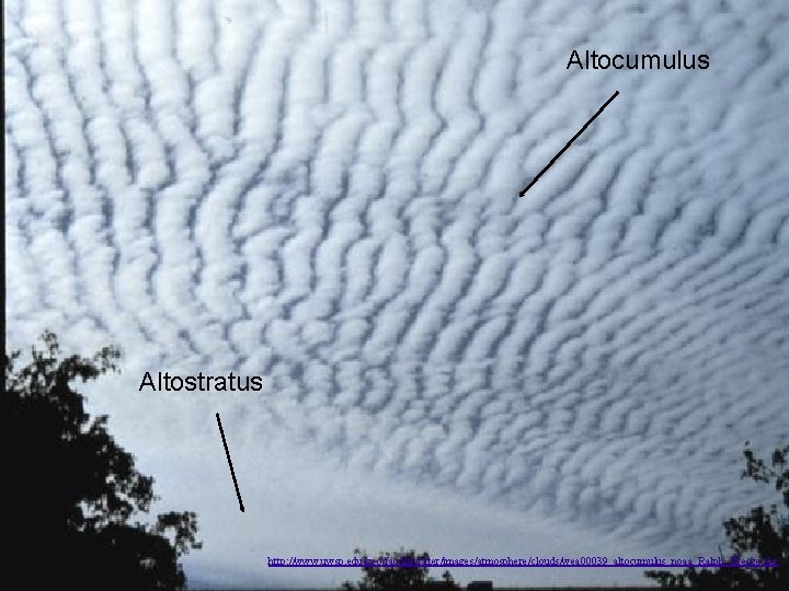 Altocumulus Altostratus http: //www. uwsp. edu/geo/faculty/ritter/images/atmosphere/clouds/wea 00039_altocumulus_noaa_Ralph_Kresge. jpg 