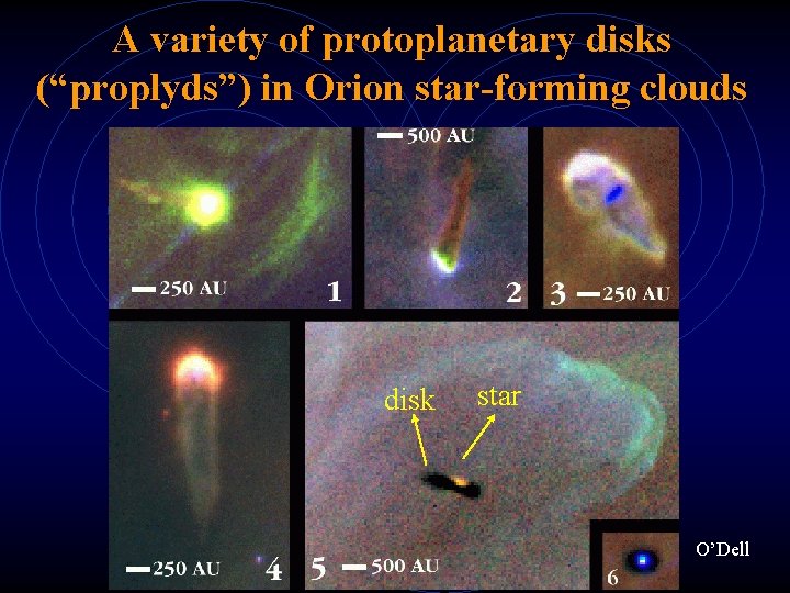 A variety of protoplanetary disks (“proplyds”) in Orion star-forming clouds disk star O’Dell 