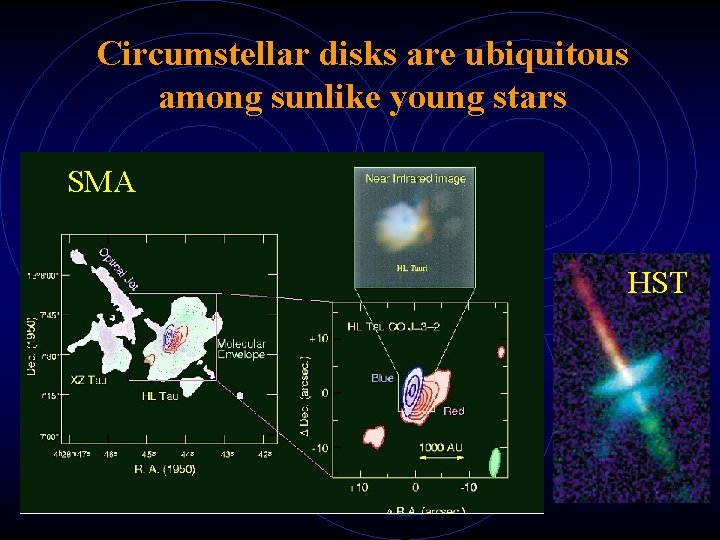 Circumstellar disks are ubiquitous among sunlike young stars SMA HST 