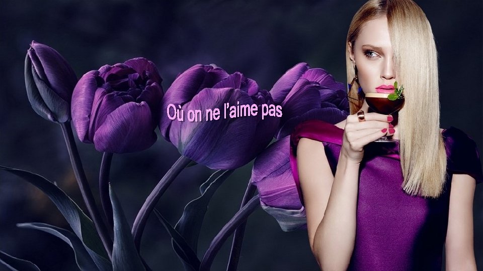 La tulipe mauve On l’aime 