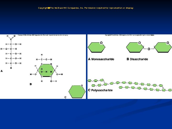 Copyright The Mc. Graw-Hill Companies, Inc. Permission required for reproduction or display. 