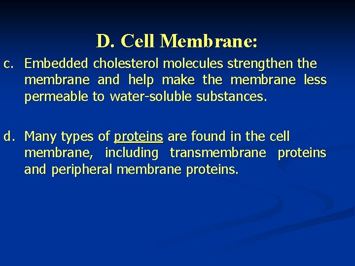 D. Cell Membrane: c. Embedded cholesterol molecules strengthen the membrane and help make the