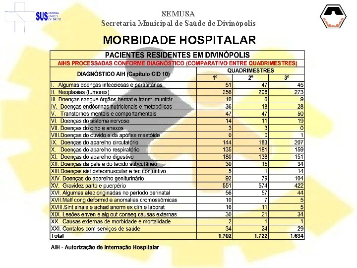 SEMUSA Secretaria Municipal de Saúde de Divinópolis MORBIDADE HOSPITALAR 