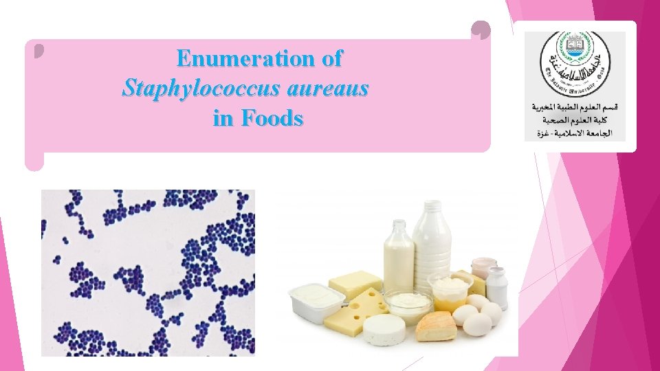 Enumeration of Staphylococcus aureaus in Foods 