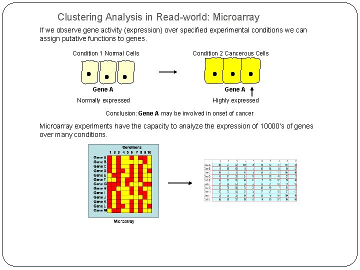 Clustering Analysis in Read-world: Microarray If we observe gene activity (expression) over specified experimental