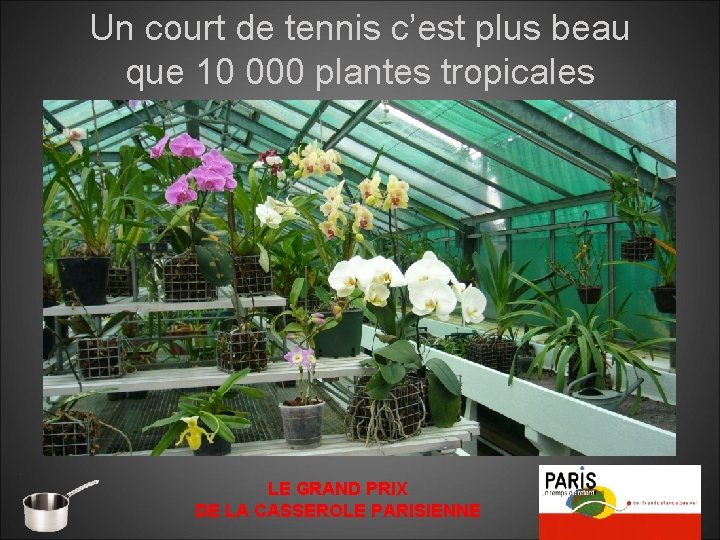 Un court de tennis c’est plus beau que 10 000 plantes tropicales LE GRAND